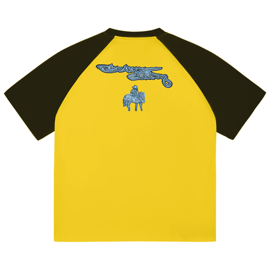 Color-Blocked Raglan Sleeve T-shirt