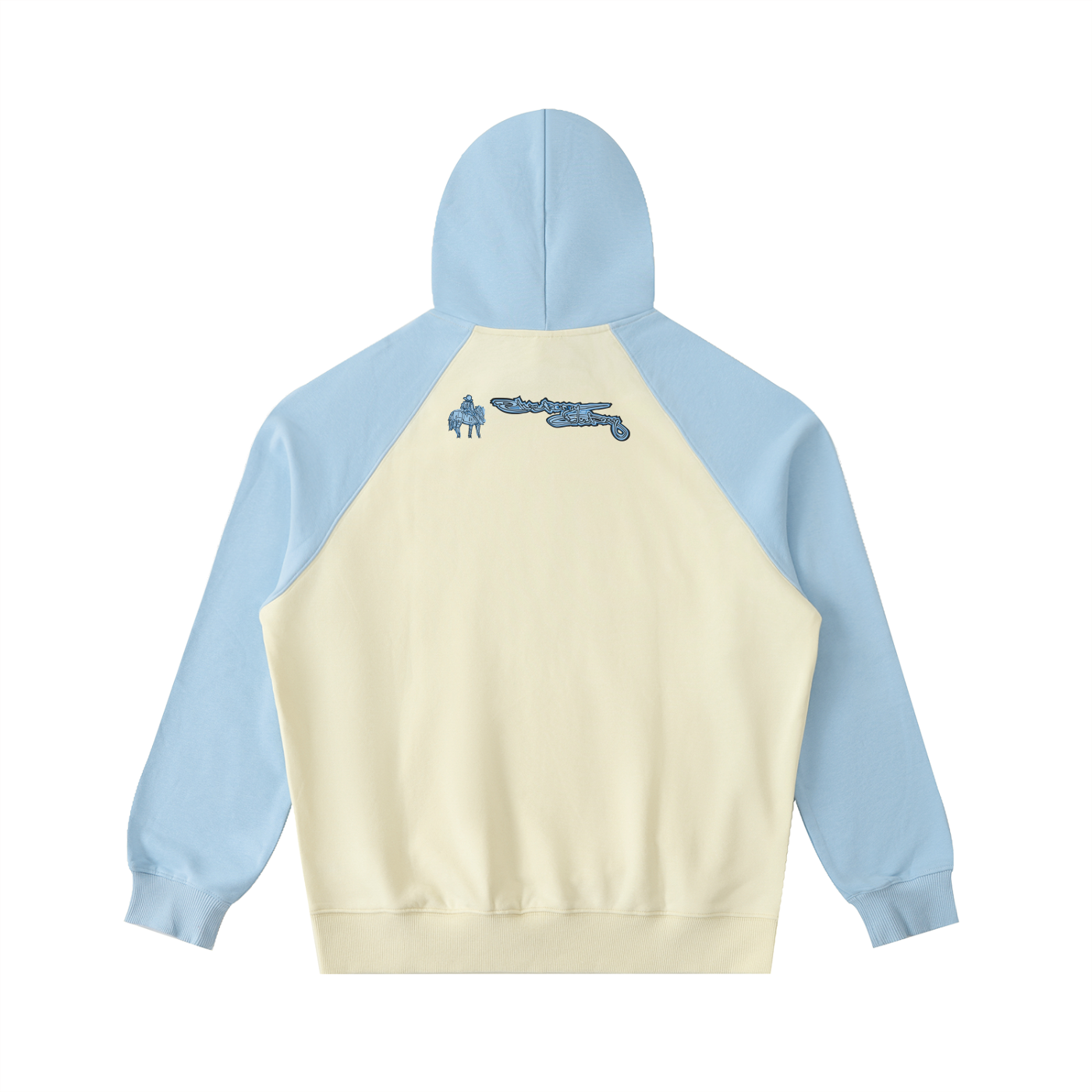 Color-Block Raglan Sleeve Hoodie